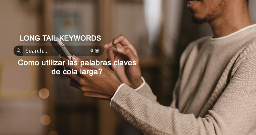 Palabras Claves de Cola Larga